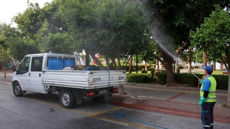 Alanya Belediyesi’nden Yeşil Alan Ve Parkla İlaçlama