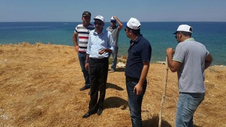 Tuşba Belediyesi’nden Çarpanak Adası’nda İnceleme