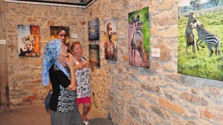 Bodrum’da Yaban Fotoğraf Sergisi Açıldı