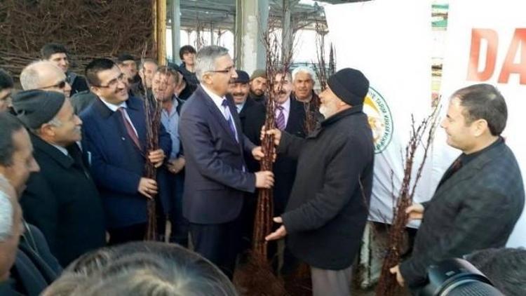 “Bir Karış Toprak Boş Kalmasın” Projesinde Başarılı Sonuçlar Alındı