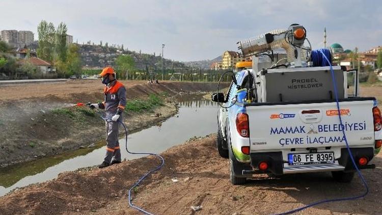 Mamak’ta Haşere Mücadelesi Devam Ediyor