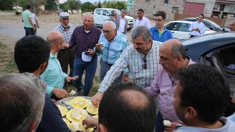 Hizmet İçin Dağ Taş Demediler