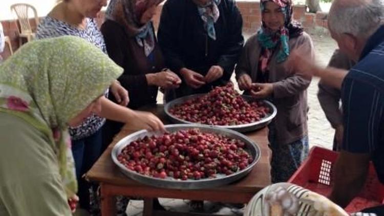 Burhaniye’de Kırtıklı Kadınlar Organik Reçel Yapımını Öğrendi