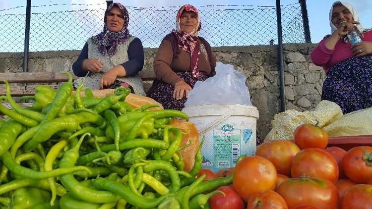 Helvadere’nin Kadınları Aile Bütçelerine Katkı Sağlıyor