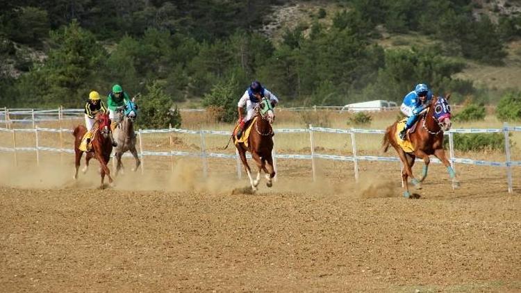 Taşköprü’de AT Yarışları Nefes Kesti