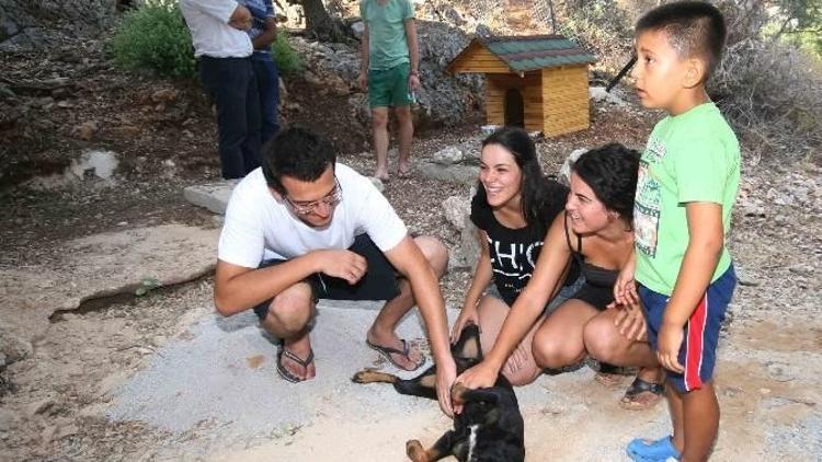 Karain Kazı Ekibi Sokakta Buldukları Köpeği Sahiplendi