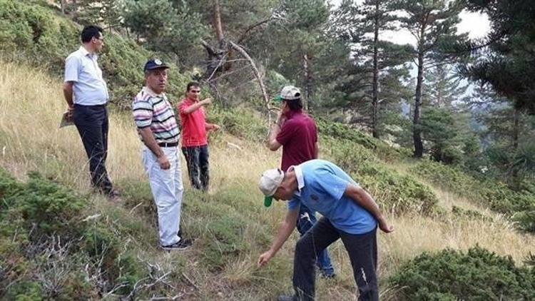 Erzurum Obm’de Silvikültür Uygulamaları Denetimi