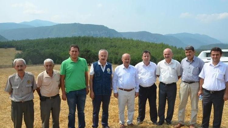 Milletvekili Kahveci, Orman Yangını Çıkan Bölgede İncelemelerde Bulundu