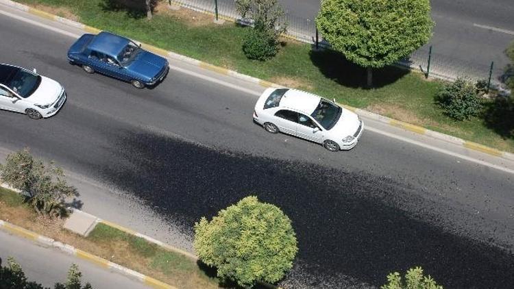 Yere Dökülen Asfalt Kazaya Davetiye Çıkardı