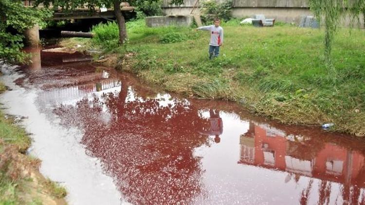 Yalova’da Kurban Tedbirleri