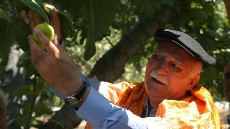 TZOB Genel Başkanı Bayraktar, İncirciyi Umutlandırdı