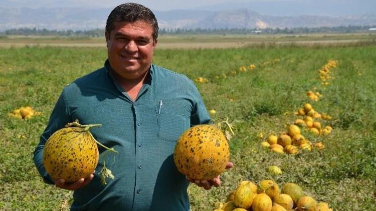 Karaçal Barajı İle ‘Sulu Tarım’ Dönemi