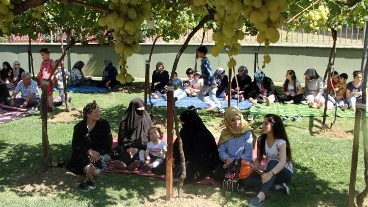 Bağcılar’da Vatandaş Üzüme Doydu