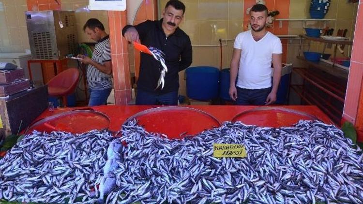 Yasak Bitti, Balık Tezgahları Şenlendi