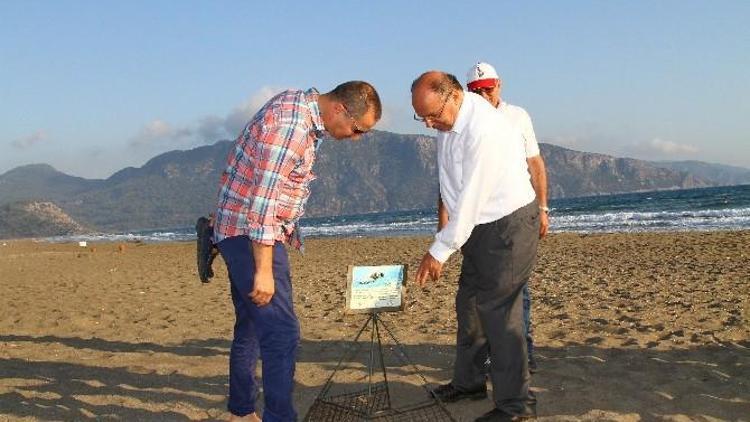 Vali Çiçek, Dalyan’da İncelemelerde Bulundu