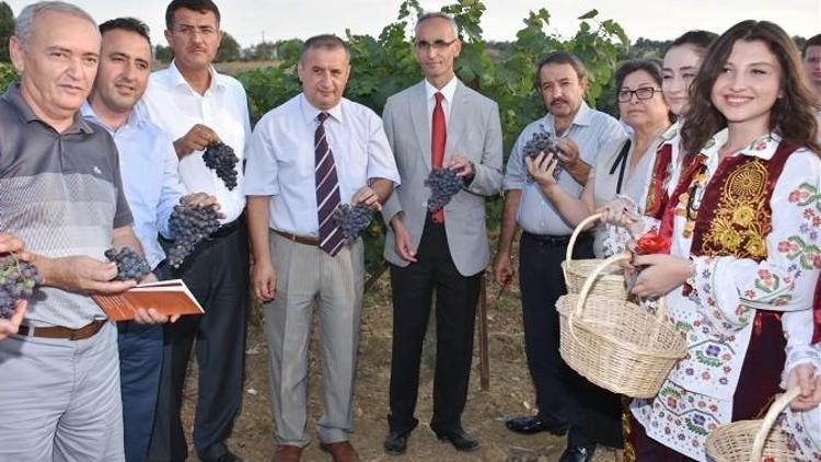 Trakya Bağ Bozumu Ve Ekoloji Festivali Tekirdağ’da Başladı