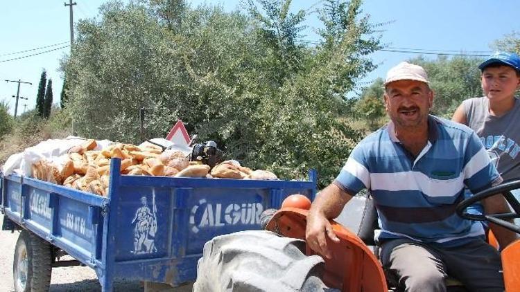 “Ekmeği İsraf Etmeden Yemesini Öğrenemedik”