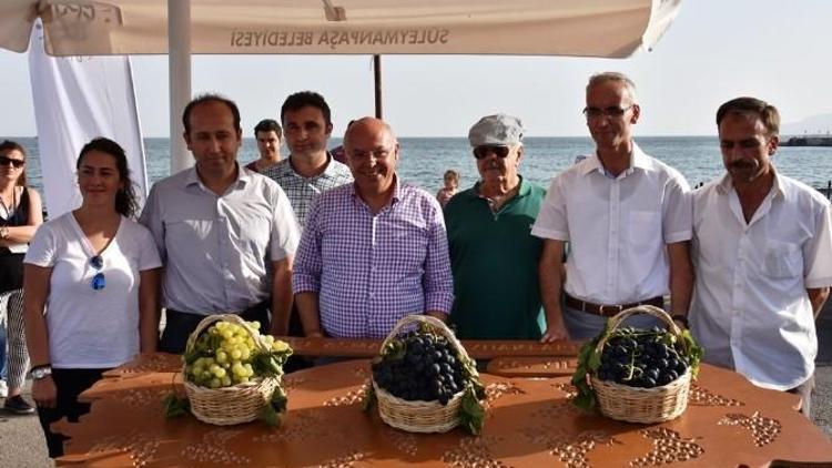 Tekirdağ’ın En Güzel Üzümleri Seçildi