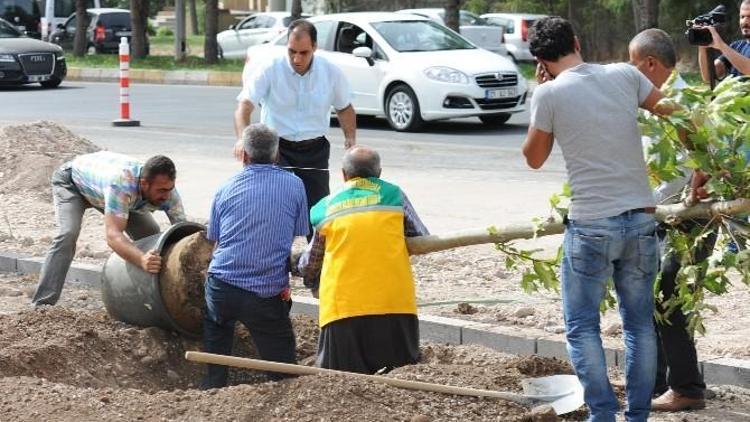 Elazığ Caddesinde Çalışmalar Sürüyor