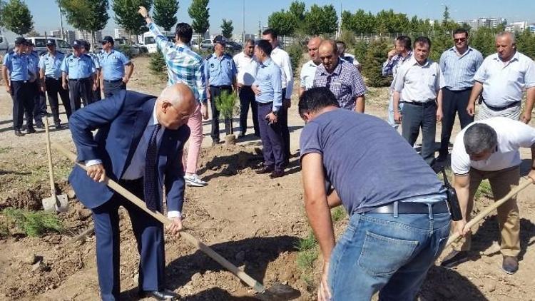 Yenimahalle’den Zabıtalar İçin Hatıra Ormanı