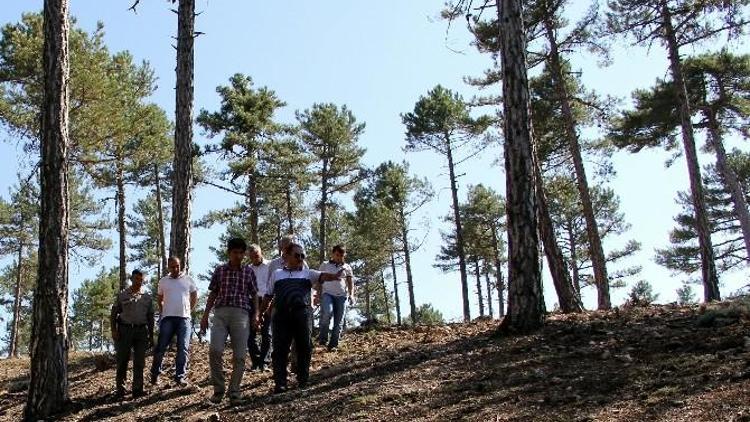 Isparta Orman Bölge Müdürü, Burdurda İncelemelerde Bulundu