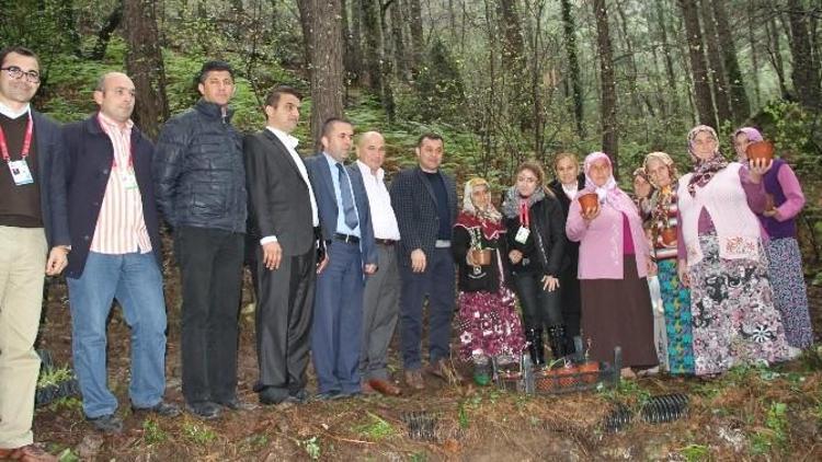 Tanıtım Ve İstihdam Projesi Güçlenerek Büyüyor