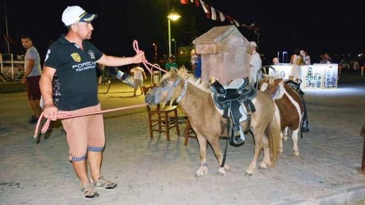 “Pony” Atları İle Cunda Turunun Dakikası 1 Lira