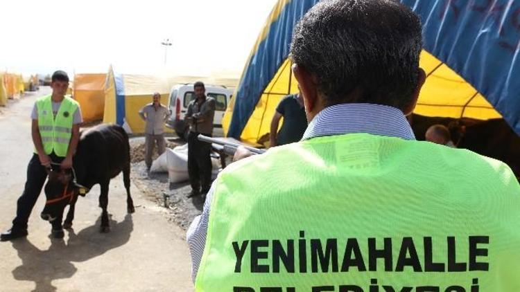 Yenimahalle’nin Kurban Timi İş Başında