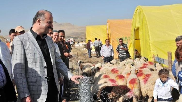 Mamak’ta Kurbanlıklar Görücüye Çıktı