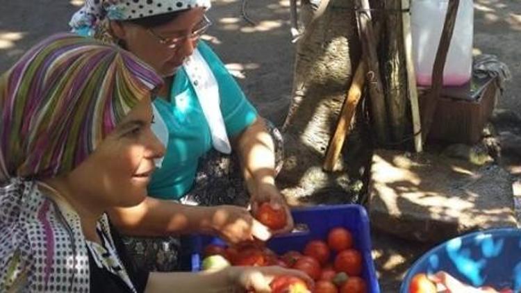 Aydınlı Hanımlar Reçel Ve Püre Yapmayı Öğrendi