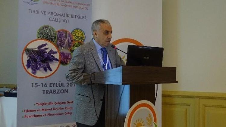 Trabzon’da Tıbbi Ve Aromatik Bitkiler Çalıştayı