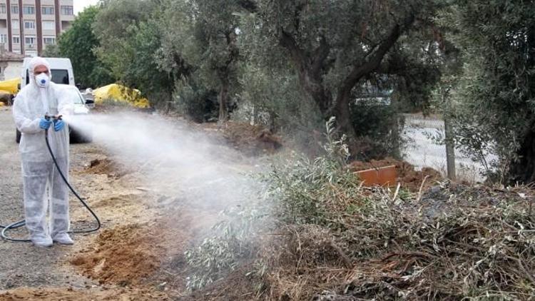 Kartal’da Kurbanlıklar Kontrolden Geçirildi