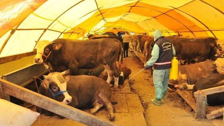 Kurban Çadırları Tertemiz, Hijyenik