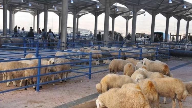 Niğde’de Kurban Kesim Yerleri Belirlendi