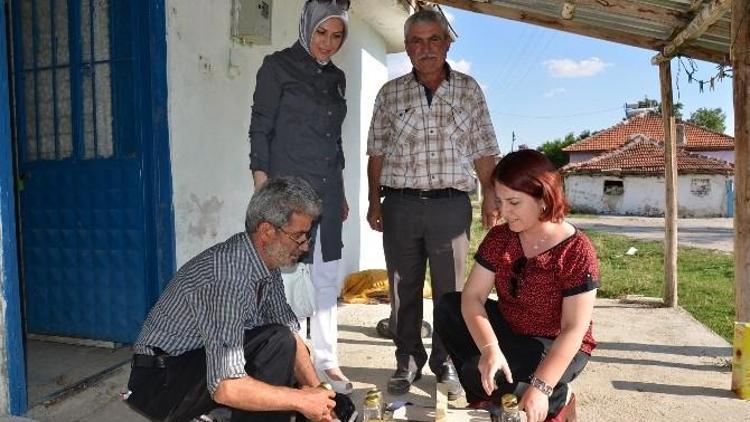 Sevgi Eli’nden Yaşar Amcaya Boya Sandığı