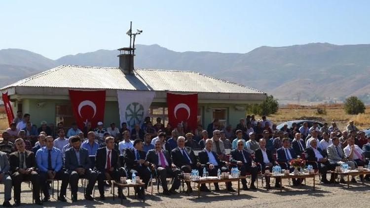 Muş’ta Şeker Pancarı Alımına Başlandı