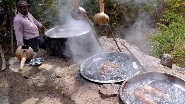 Siirt’te İskambo Pekmez Yapımına Başlandı