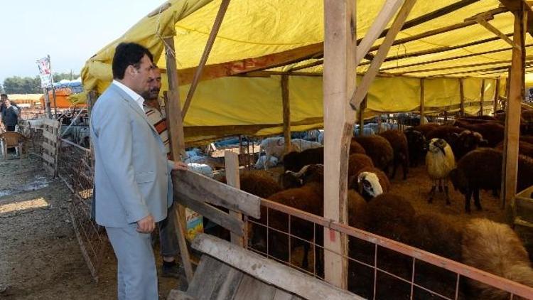 Osmangazi Belediyesi Kurban Bayramı’na Hazır