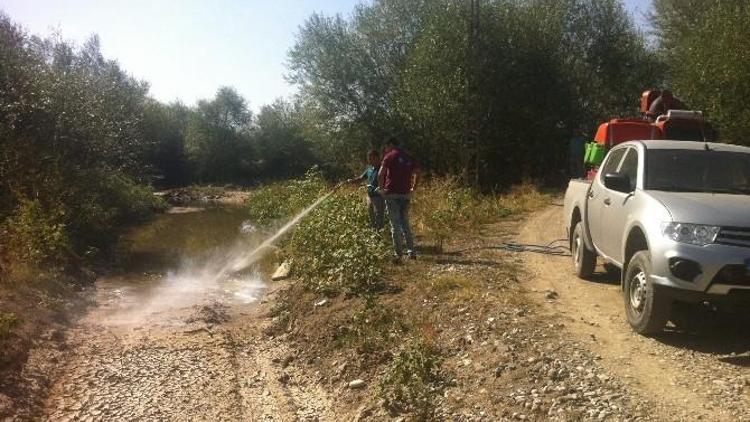 Sungurlu Belediyesi’nden İlaçlama Çalışması