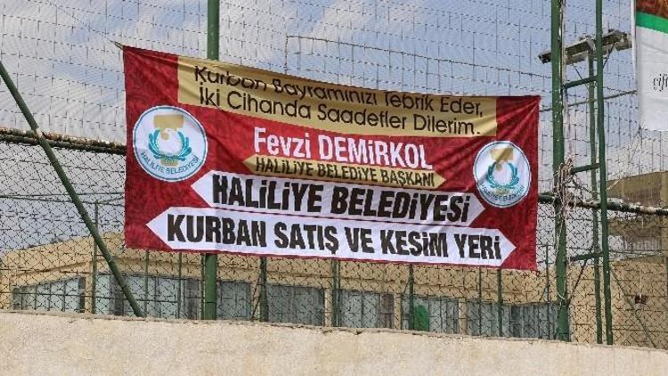 Haliliye’deki Kurban Kesim Yerleri