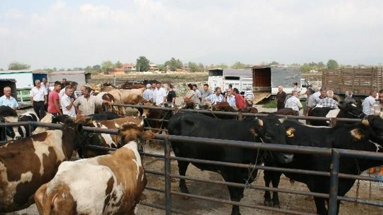 Veteriner Karanfil’den Kurban ETİ Uyarısı