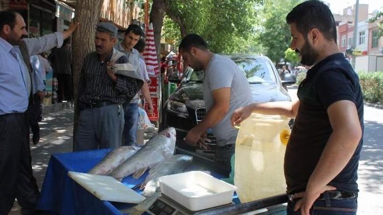 Siirt’te Bayram Öncesi Balık Bereketi