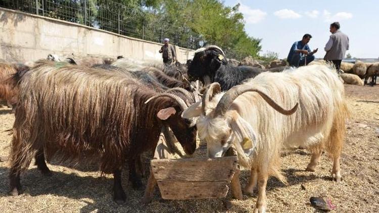 Kurban Kesim Yerlerinde Hazırlıklar Tamamlandı