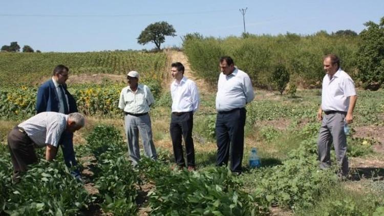 Bandırma’da Soya Üretimi Desteği Talebi