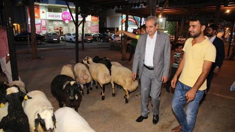 Başkan Demirkol, Kurban Satıcıları İle Görüştü