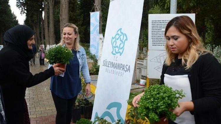 Süleymanpaşa Belediyesi, Şehir Mezarlığında Gül Ve Kasımpatı Çiçeği Dağıttı