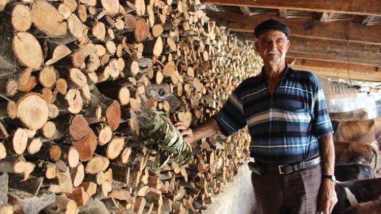 Aydın’da Kış Hazırlıkları Erken Başladı