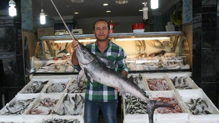 Marmaris’te ’Kılıçlar’ Çekildi