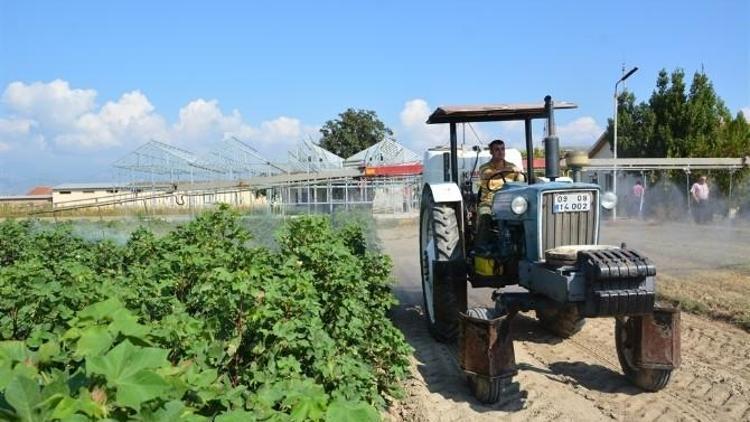 Nazilli’de Pamukta Tarla Günü Yapıldı