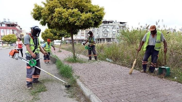 Muratpaşa Sokaklarına Sonbahar Bakımı